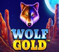 Wolf Gold Wolf Gold